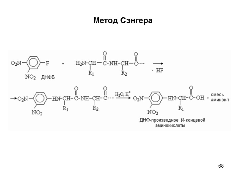 68 Метод Сэнгера